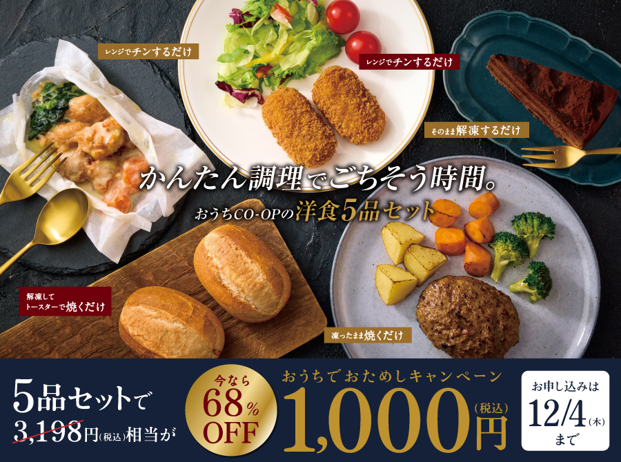 ごちそう洋食5品セットを今なら1,000円（税込）でおためし！お申し込み期間：11/11（火）～ 12/11（木）まで
