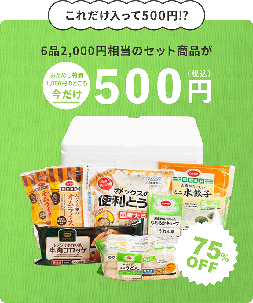 これだけ入って500円!?6品約2,000円相当のセット商品がおためし特価500円(税込) 75%OFF