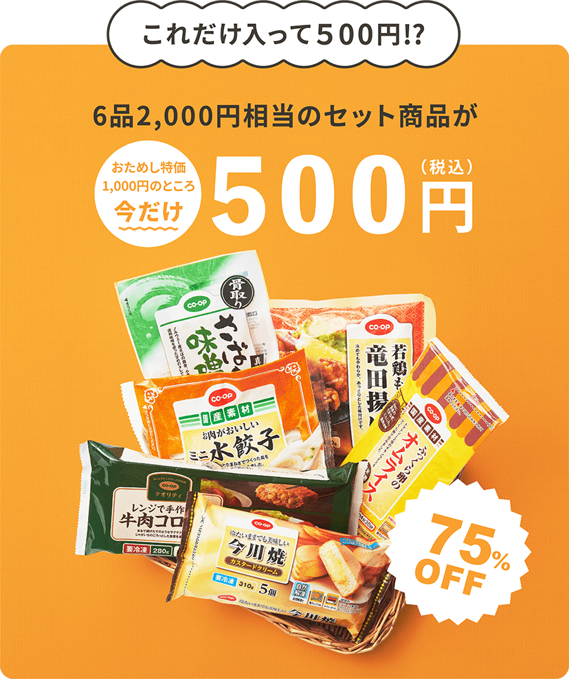 これだけ入って500円!?6品約2,000円相当のセット商品がおためし特価500円(税込) 75%OFF