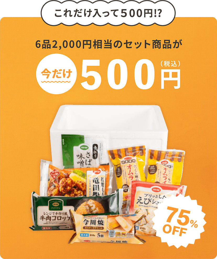 これだけ入って500円!?6品約2,000円相当のセット商品が今だけ500円(税込) 75%OFF
